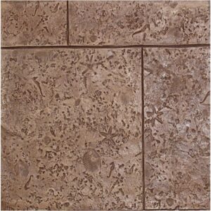 24" x 24" Coquina with Shells Tile Concrete Stamp