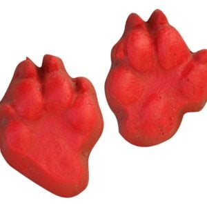 Coyote - Set of Four Prints Concrete Stamp
