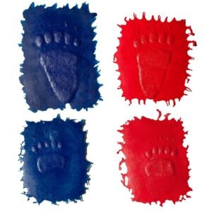 Bear - Set of Four Prints Concrete Stamp
